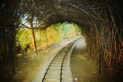 Road passing through tunnel