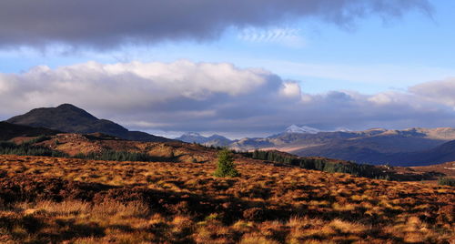 Scenic view of landscape against cloudy sky