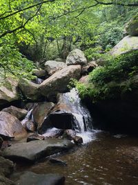 Stream flowing through rocks in forest