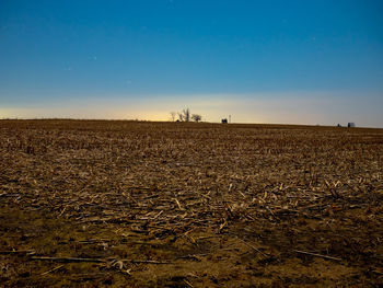 Scenic view of agricultural field against blue sky