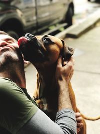 Dog licking man