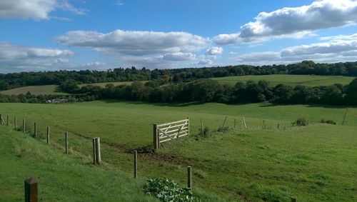 Scenic view of grassy field against sky