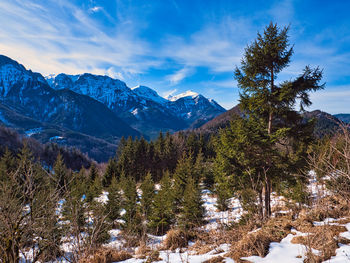 Scenic view of snowcapped mountains against sky during winter