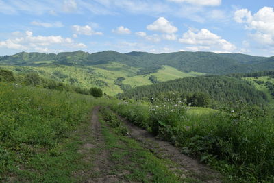 Scenic view of field against sky