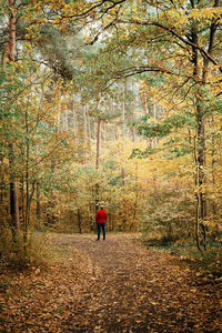 Rear view of man walking in forest during autumn