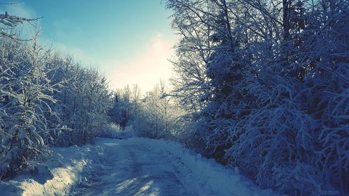 Snow covered trees on field against sky