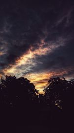 Silhouette of trees at sunset