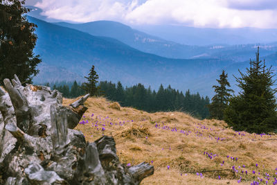 Scenic view of mountains against sky