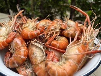 Close-up of seafood