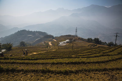 Scenic view of rice field against sky