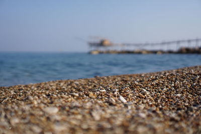 Surface level of pebbles at beach