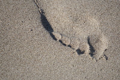 High angle view of footprints on sand