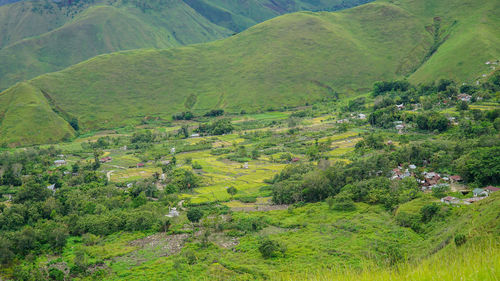 Scenic view of green landscape