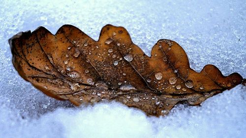 Close-up of water