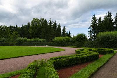 Scenic view of green landscape against sky