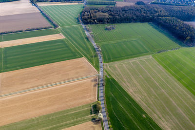 High angle view of agricultural field