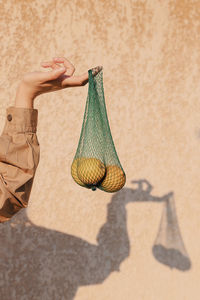 Cropped hand of woman holding fruits in bag against wall