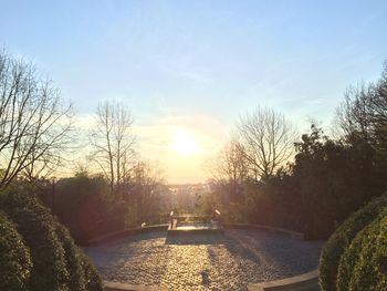 Bare trees against sky during sunset