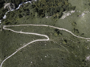 High angle view of plant on road