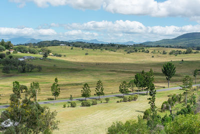 Holiday drive to scenic rim region. rolling  hills, cattles, green grasses and peaceful scenery. 