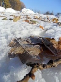 Close-up of frost on snow