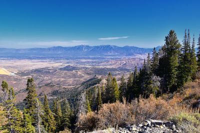 Scenic view of landscape against blue sky