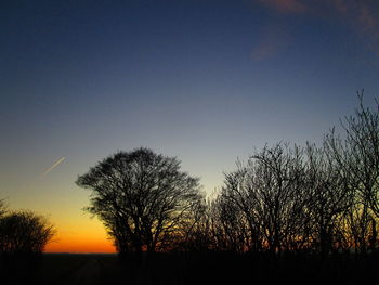 Silhouette trees against clear sky during sunset
