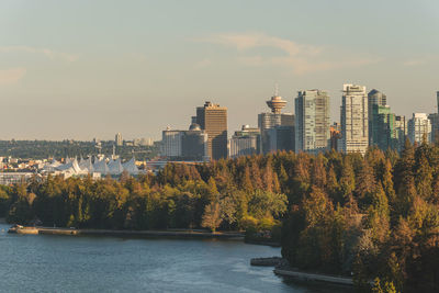 Vancouver downtown skyline above  stanley park