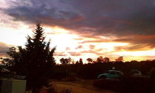 Silhouette trees against sky during sunset