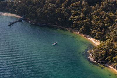 High angle view of sea by trees