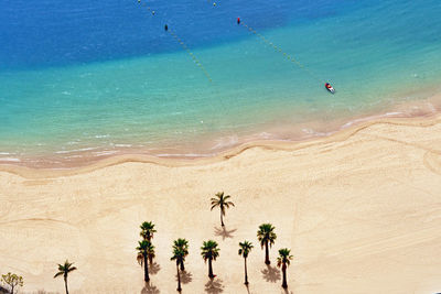 High angle view of palm trees on beach