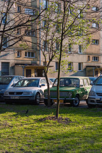 Cars on street against buildings