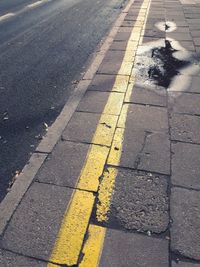 High angle view of dog on street