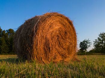 Hay bales on field against sky