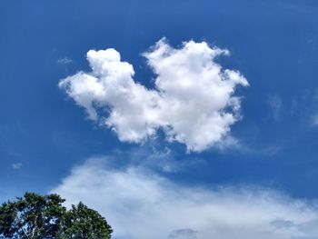 Low angle view of tree against sky