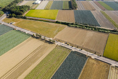 High angle view of agricultural field