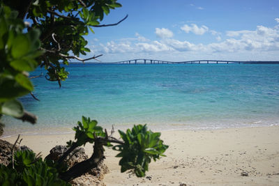 Sights of irabu island, a remote island in okinawa, irabu ohashi bridge and beach a superb view