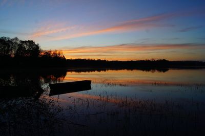 Reflection of trees in calm lake