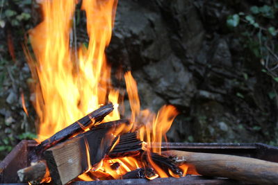 Close-up of fire on log