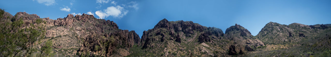 Panoramic view of trees against sky