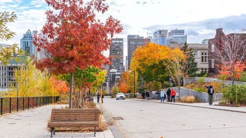 autumn