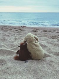 Dog sitting on sand at beach against sky