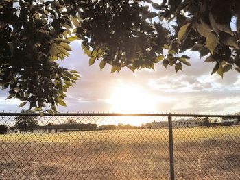 Scenic view of landscape against sky at sunset