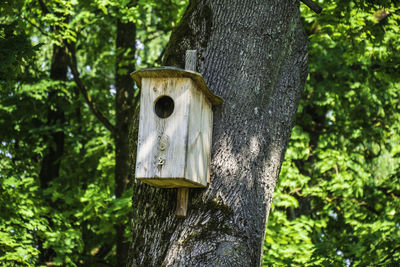 Wooden birdhouse hanging on tree in the city park