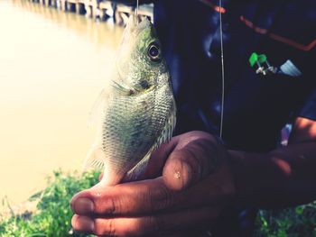 Midsection of person holding fish