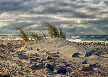 Scenic view of beach against sky