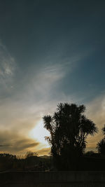 Silhouette trees on field against sky at sunset