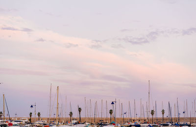 Sailboats moored at harbor against sky