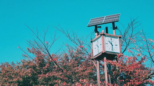 Low angle view of tree against clear blue sky
