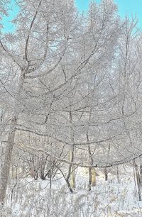 Aerial view of snow covered land